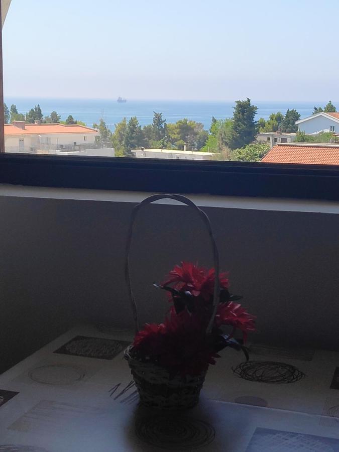 Apartmani Vitic بار المظهر الخارجي الصورة